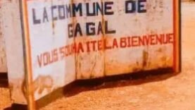 Conflit à Oulmade : 1 mort, 1 blessé entre agriculteurs et éleveur
