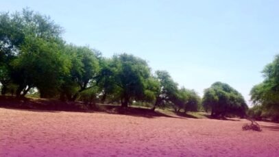 IMG_2346.jpeg