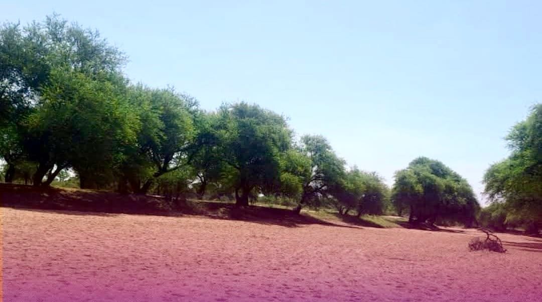 Batha : la rivière Millim à sec après 60 ans