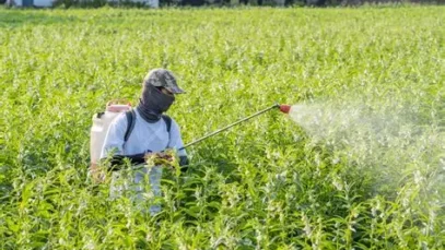 Un-agriculteur-pulverisant-du-pesticide-dans-son-champ.webp