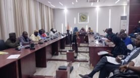 Tchad : le Laboratoire des eaux renforce son contrôle qualité