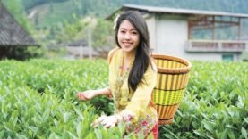 Changsha : Un Pont entre Tradition et Modernité