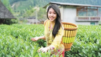 Wong-picks-tea-leaves.jpg