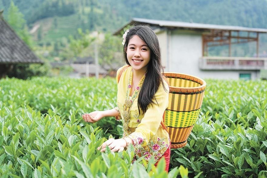 Changsha : Un Pont entre Tradition et Modernité