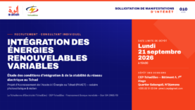 TchadElec recherche un consultant pour intégrer les énergies