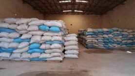 Tchad : interdiction d&rsquo;exporter certaines céréales