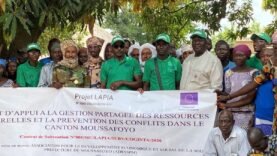 Sécurisation des récoltes au canton Moussafoyo au Tchad
