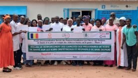 Tchad : l&rsquo;ONG BASE booste les compétences des soignants en Mandoul