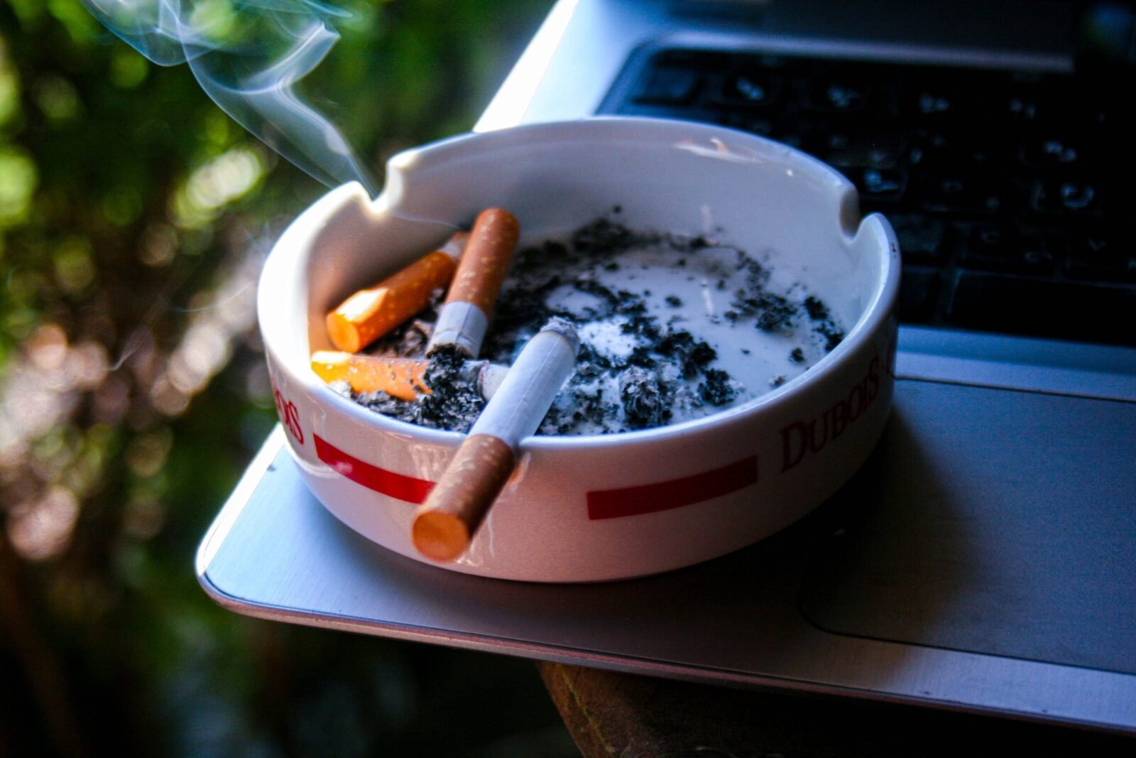 nobleprime-cigarette-8547965-scaled.jpg