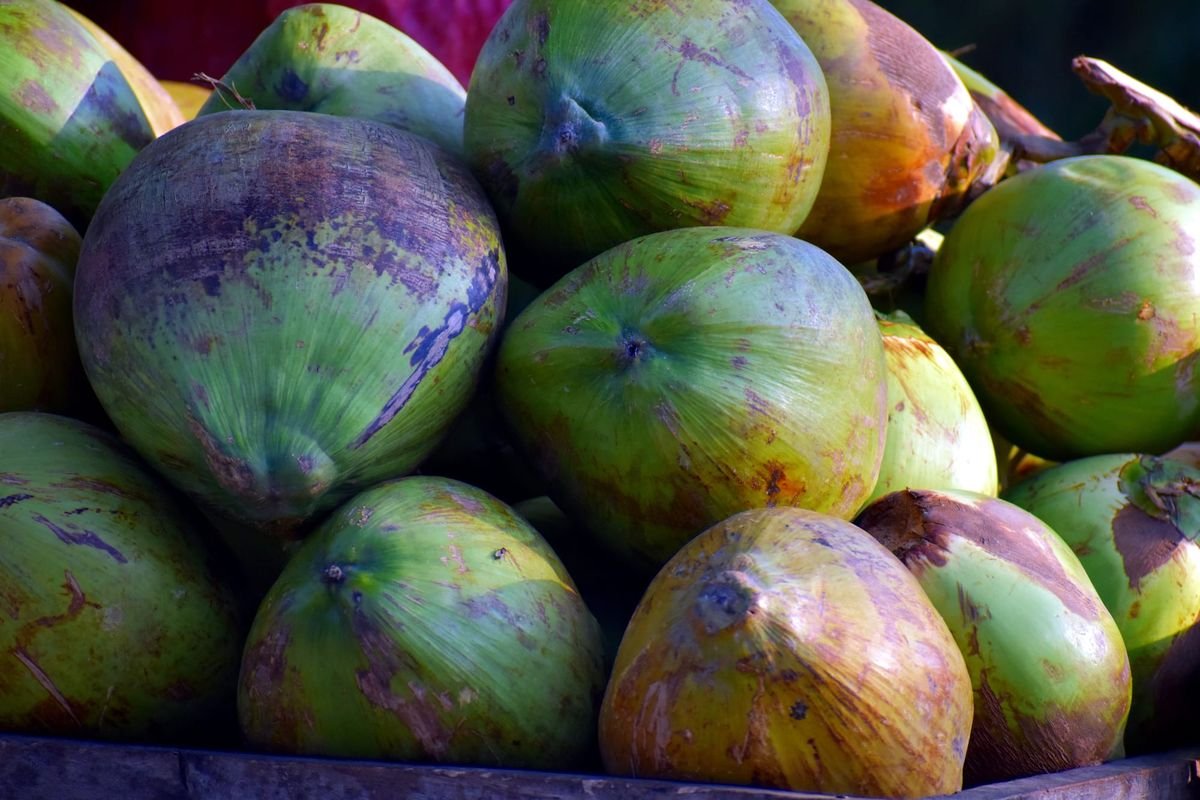 sandeephanda-coconuts-2762708.jpg