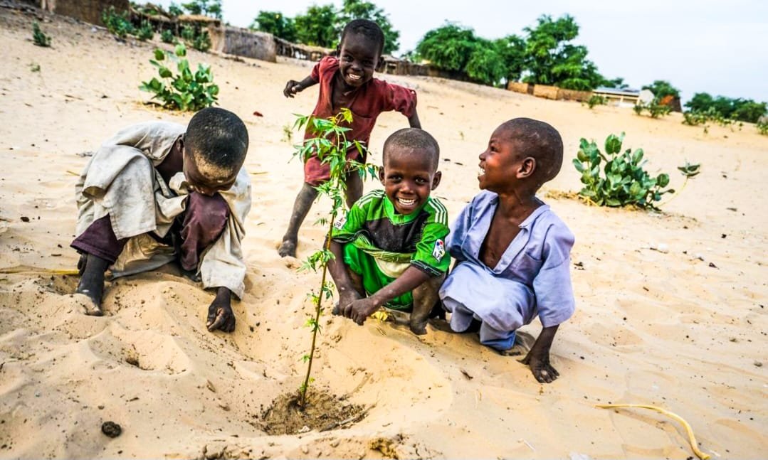 Tchad : Les pépiniéristes appellent à un reboisement permanent contre