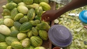 N’Djamena : le concombre à la brouette, espoir pour la jeunesse