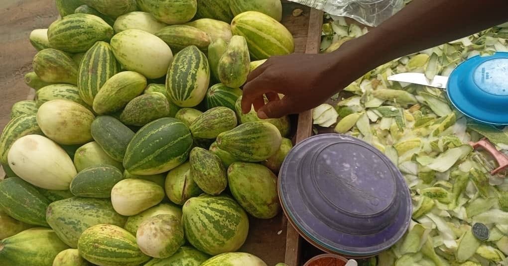 N’Djamena : le concombre à la brouette, espoir pour la jeunesse