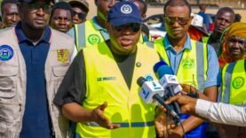 N’Djamena : Verdissement et pavage des grands axes en chantier