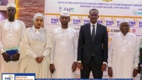 Engagement des partenaires pour l’emploi des jeunes au Tchad