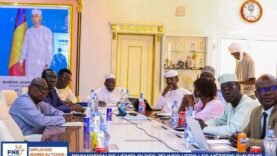 Réunion décisive pour les plans d&rsquo;action FNE 2026 au Tchad
