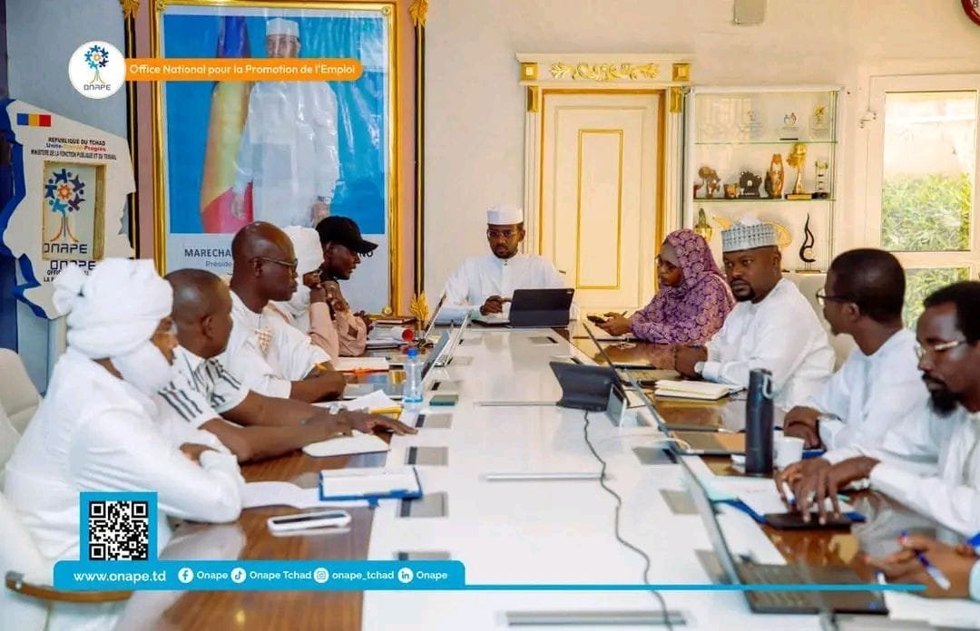 Tchad : Modernisation et rigueur à l’ONAPE lors de la réunion