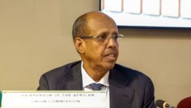 Tensions en Afrique : l&rsquo;Union appelle à la retenue de l&rsquo;Éthiopie
