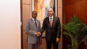 À Bangkok, la BAD soutient les projets stratégiques du Tchad