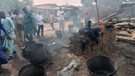 Pala : des usines sanctionnées pour manquements