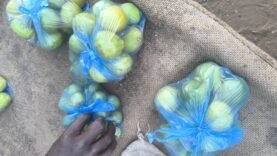 N’Djamena : enfants face à la canicule pour survivre