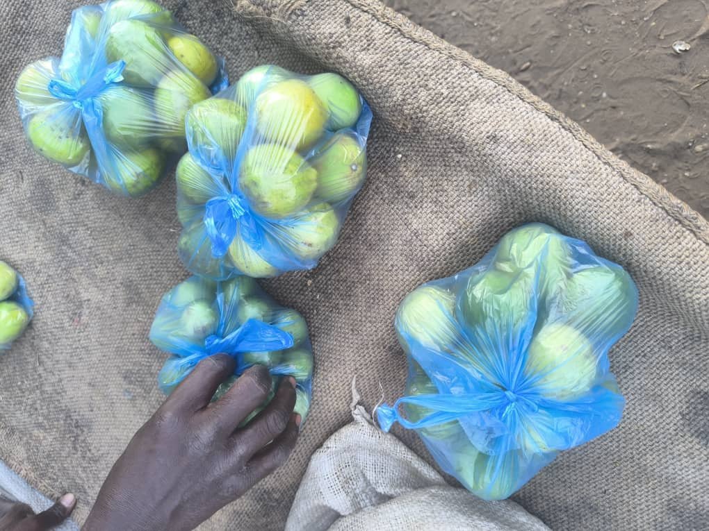 N’Djamena : enfants face à la canicule pour survivre