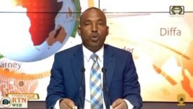 Niger accuse le Tchad d&rsquo;attaque par drone et se tourne vers l&rsquo;ONU