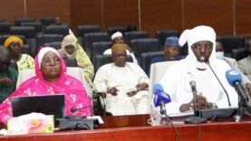 Tchad : le Sénat alerte sur l&rsquo;état des routes