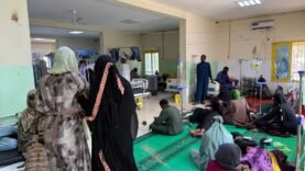 Dengue au Tchad : vigilance dans 4 provinces