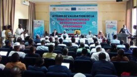 Tchad : Validation de la Stratégie de Gouvernance des Données