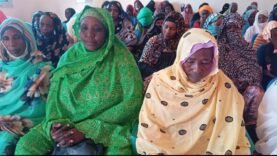 Hadjer-Lamis : sensibilisation au cancer à Massakory