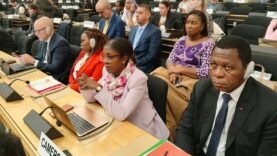 Genève : le Cameroun plaide pour plus de solidarité internationale