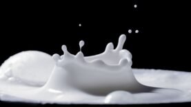 Tasses au combat : lait tchadien vs lait en poudre