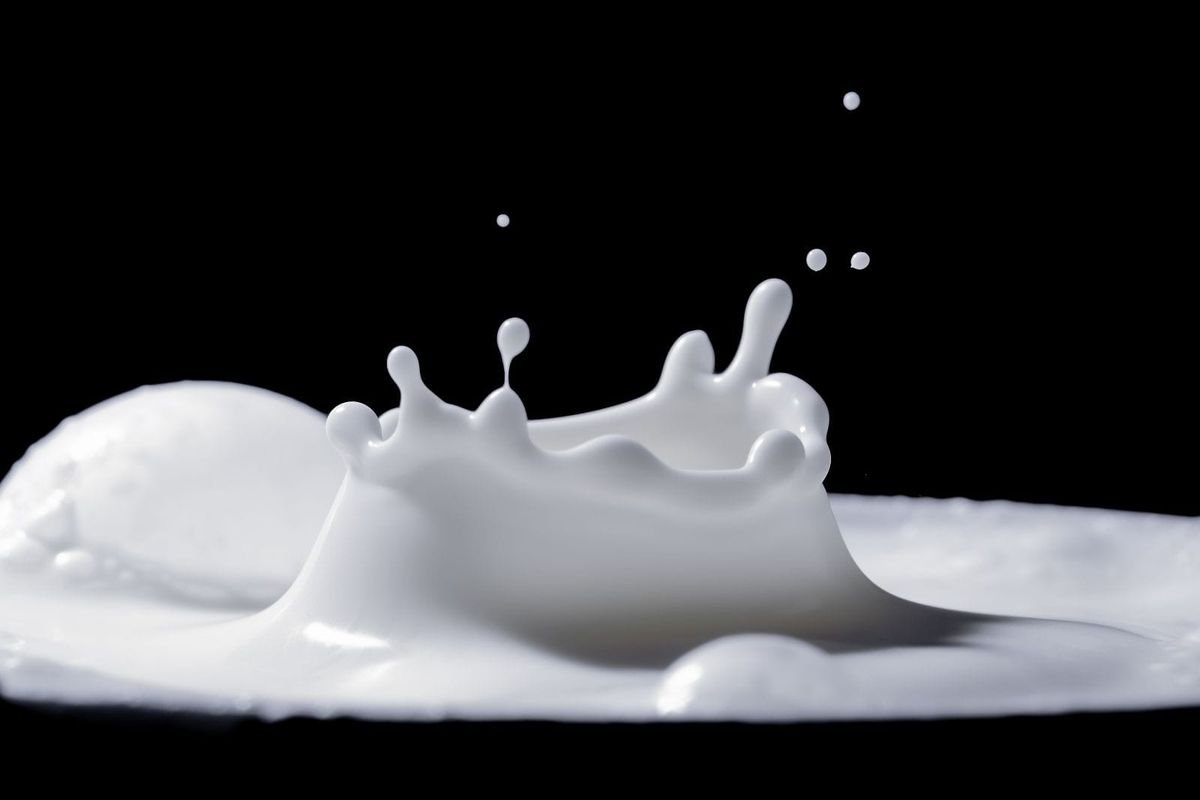 Tasses au combat : lait tchadien vs lait en poudre